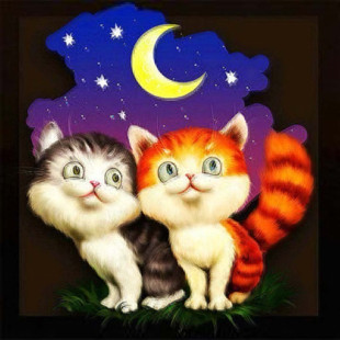 Diamond Painting Haft Diamentowy Mozaika Zestaw 5D 21