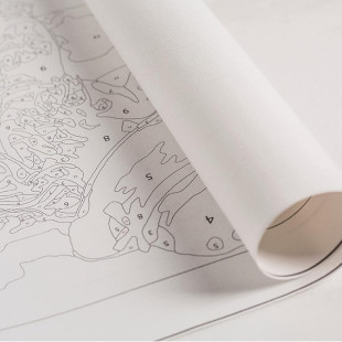 MALOWANIE PO NUMERACH OBRAZ Z RAMĄ ZESTAW PĘDZLE FARBY 30x30 DLA DZIECI