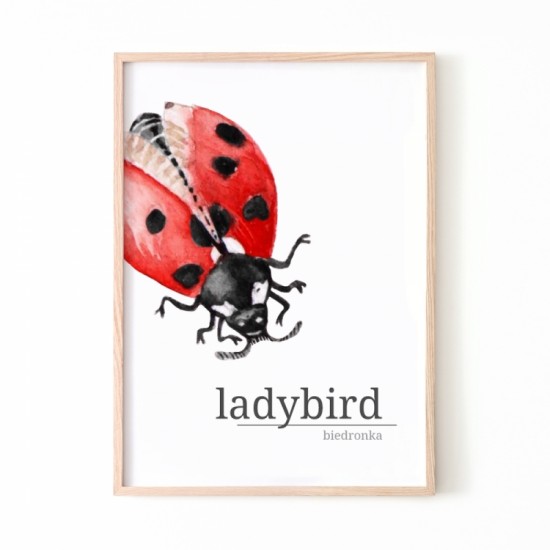 Plagát na stenu s motívom lienky Ladybird
