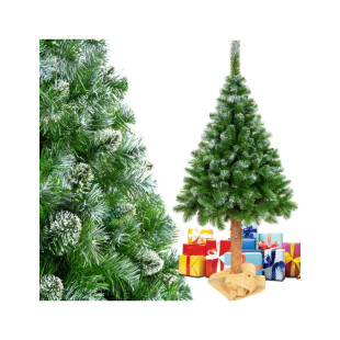 Vianočný stromček diamantová borovica na kmeni + jutová taška